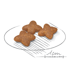 Mini Adult  1 Kg 