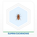 Raid Max Mata Cucarachas y Arañas Sin Olor