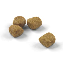 Indoor 7+ 1,5 Kg