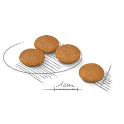 Mini Dermacomfort x 1 kg