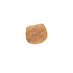 Urinary Dog 10 Kg