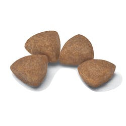X-Small Junior 1 Kg