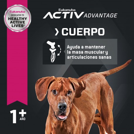 Eukanuba Adult Large Breed x 15 kg