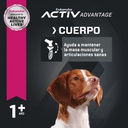 Eukanuba Adult Medium Breed 3 KG