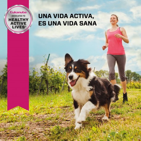 Eukanuba Adult Senior medium breed 15 KG