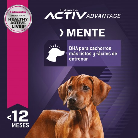 Eukanuba Puppy Large Breed 15 KG