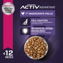 Eukanuba Puppy Large Breed 1 KG