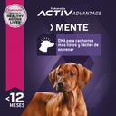 Eukanuba Puppy Large Breed 3 KG