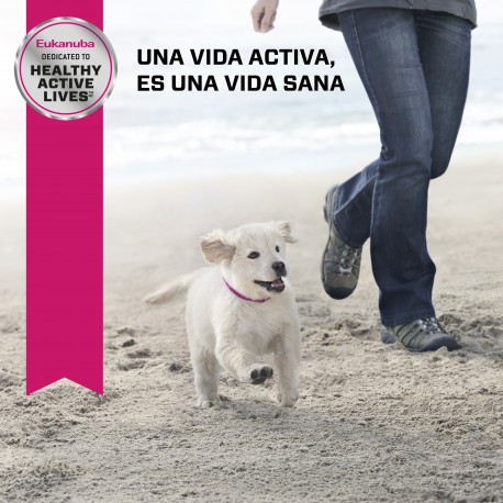 Eukanuba Puppy Medium Breed 15 KG