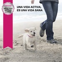 Eukanuba Puppy Small Breed 3 KG