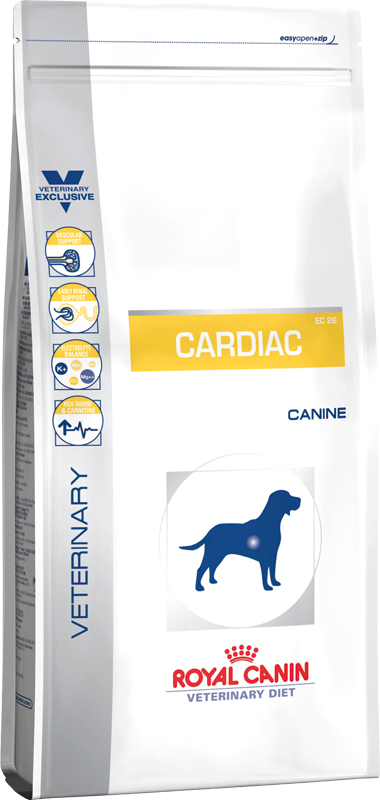 CARDIAC CANINE