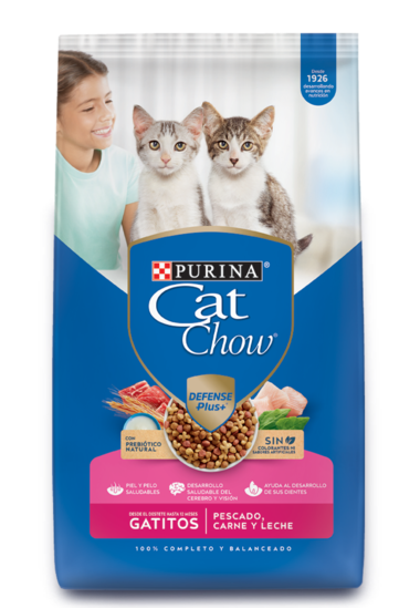 Purina Purina Cat Chow Gatitos  1kg