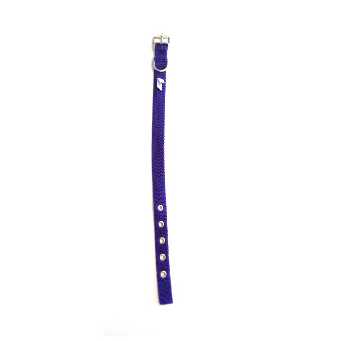 COLLAR 20MM X 45CM - FAMILY PETS