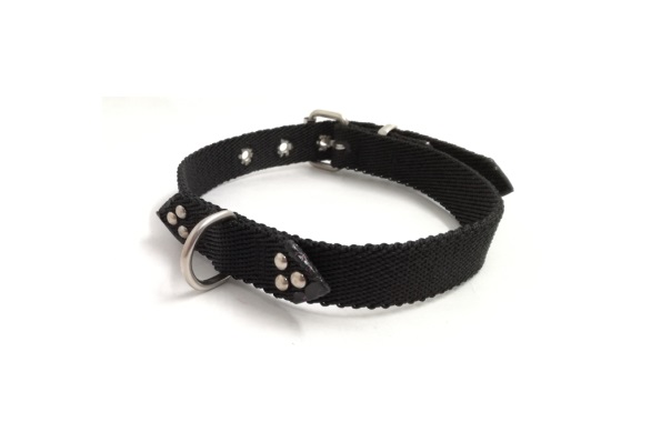 COLLAR NYLON MEDIO FANTASIA 45X2CM. MISTER HUESO