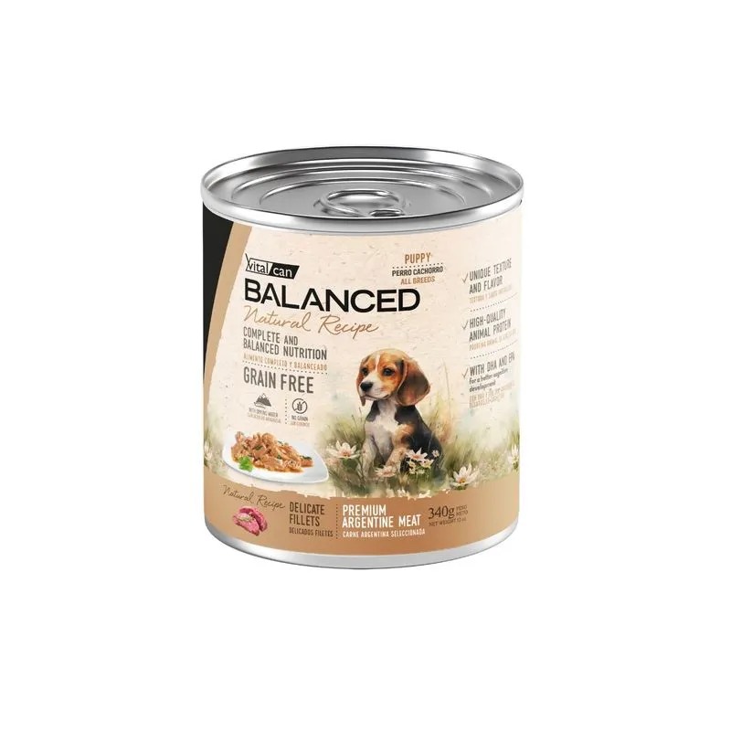 Natural Recipe Filetes Carne Perro Cachorro 340g X 12u
