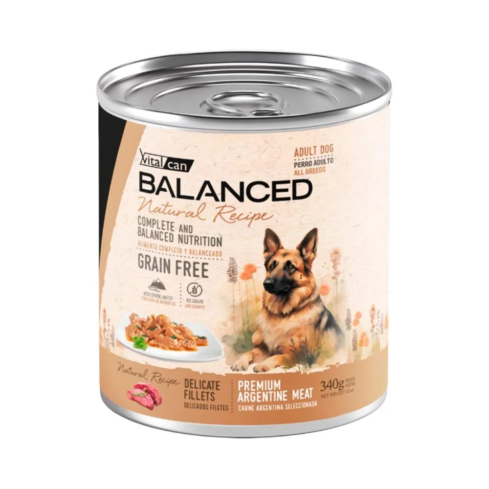 Natural Recipe Filetes Carne Perro Adulto 340g x 12u