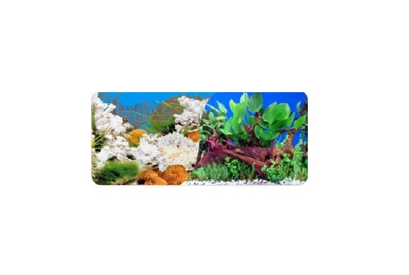 LAMINA DECORAT.60CM DOBLE FAZ X 15M - IMPORTADO