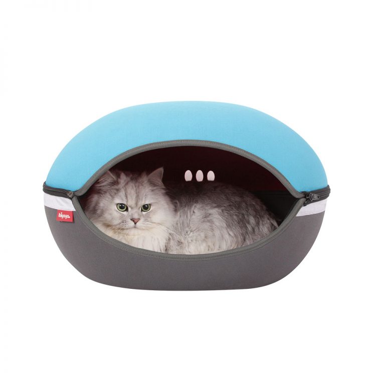 LITTLE ARENA-BLUE-FB1308B
