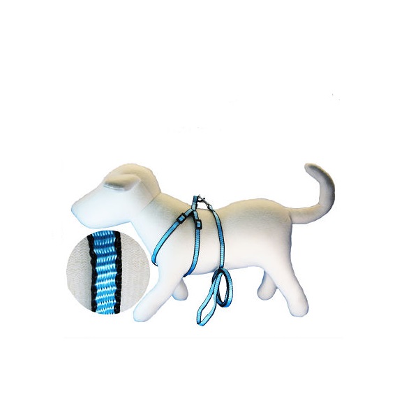 CONJUNTO CORREA Y PRETAL BORDE 10MM - MILLEX