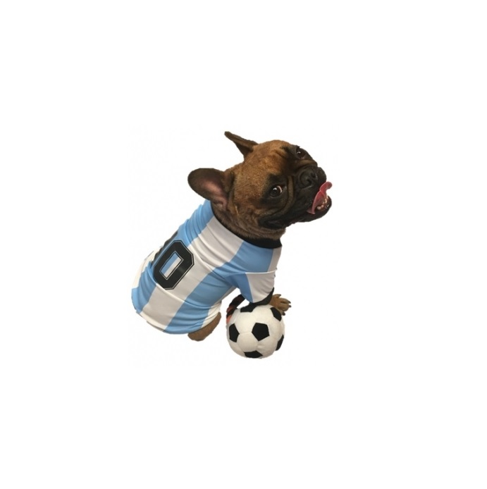 CAMISETA DE ARGENTINA Nº6 50 CM.- PER-ROS