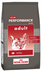 [4273015] Club Performance Cat