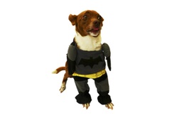 [150809] DISFRAZ BATMAN Nº1 25 CM.- PER-ROS