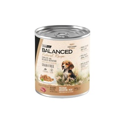 [132152] Natural Recipe Filetes Carne Perro Cachorro 340g X 12u