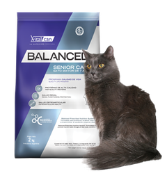 [21715] Vital Can Balanced Gato Senior X 400 Gr.