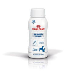 [60001842] Royal Canin Recovery Liquid para perros y gatos x 3 botellas de 200 ml