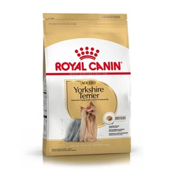 [3840010] Yorkshire Terrier Adulto