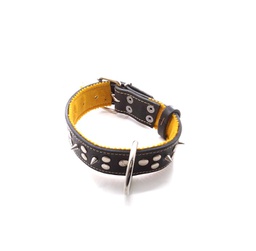 [154312] COLLAR SUELA C/PUAS O APLIQUES XL - PER-ROS
